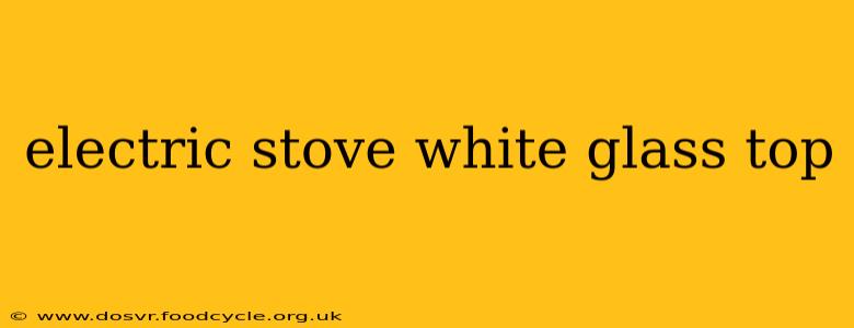 electric stove white glass top