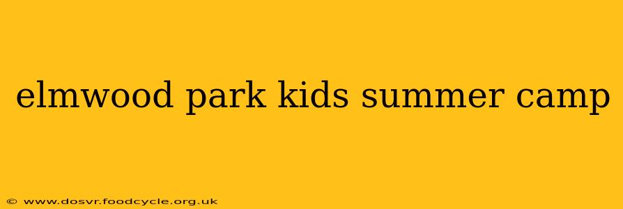 elmwood park kids summer camp