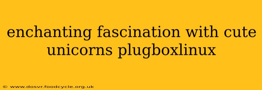 enchanting fascination with cute unicorns plugboxlinux