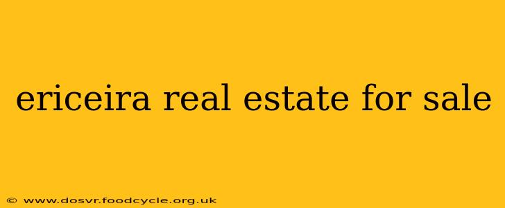 ericeira real estate for sale
