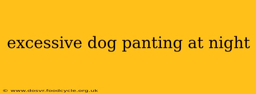 excessive dog panting at night