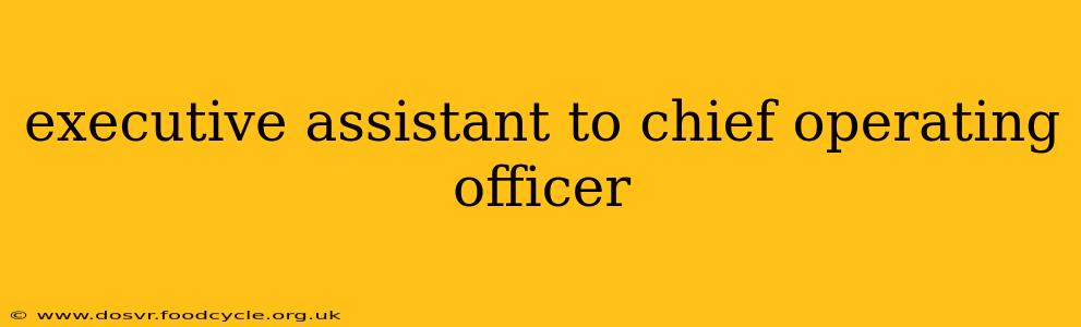 executive assistant to chief operating officer