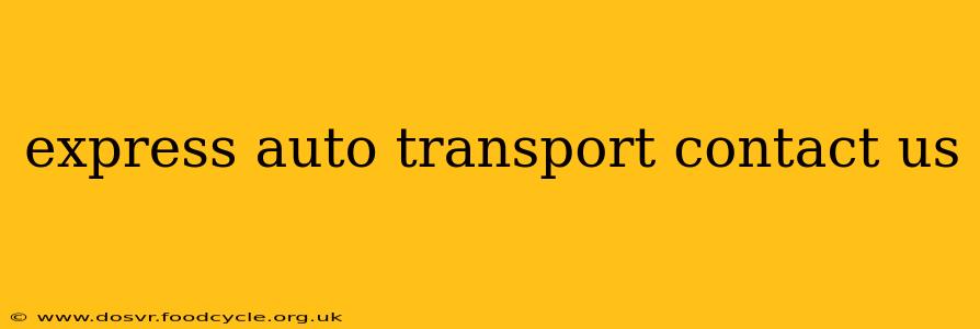 express auto transport contact us