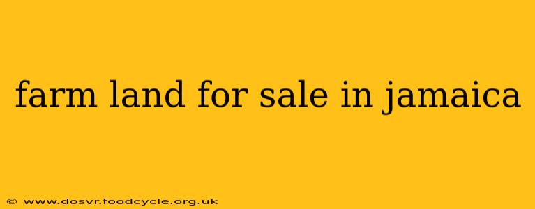 farm land for sale in jamaica