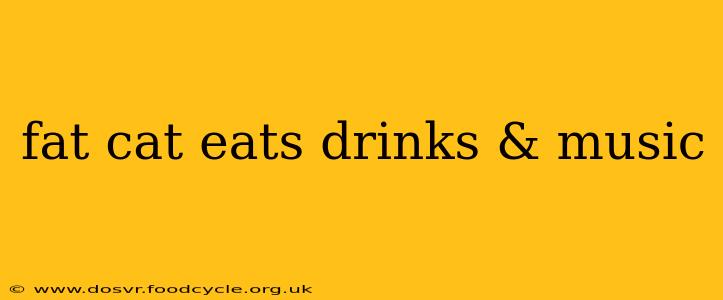 fat cat eats drinks & music
