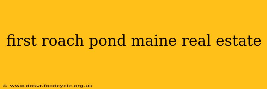 first roach pond maine real estate