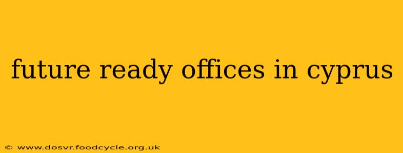 future ready offices in cyprus