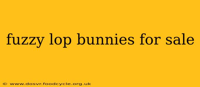 fuzzy lop bunnies for sale
