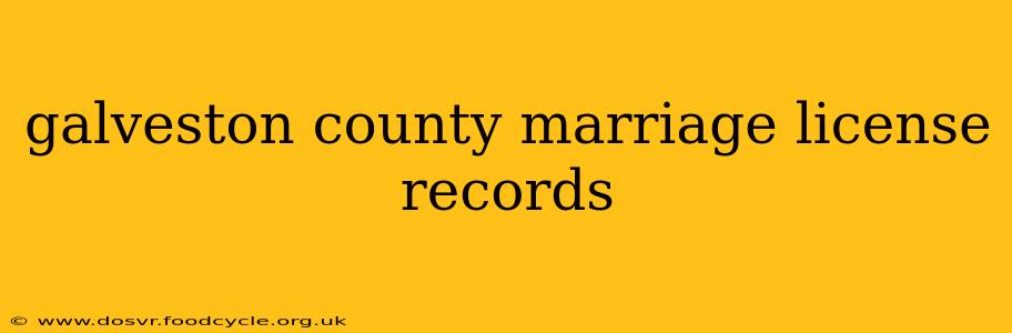 galveston county marriage license records