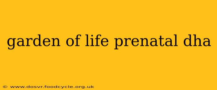 garden of life prenatal dha