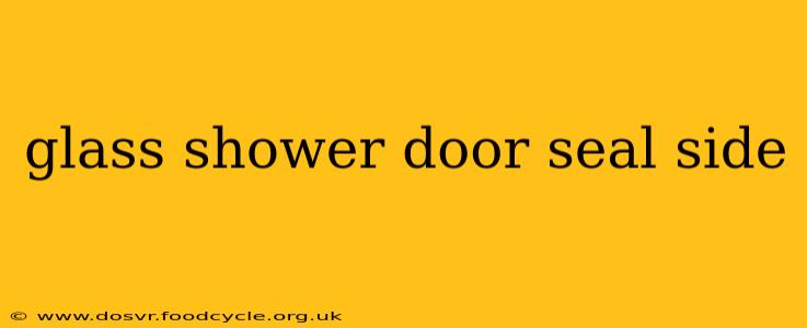 glass shower door seal side