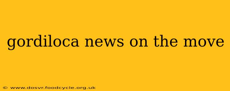 gordiloca news on the move