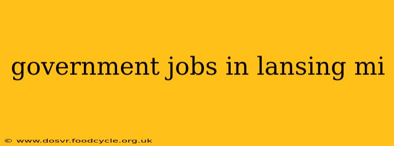 government jobs in lansing mi