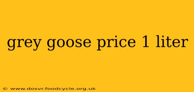 grey goose price 1 liter