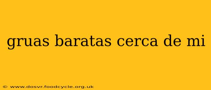 gruas baratas cerca de mi