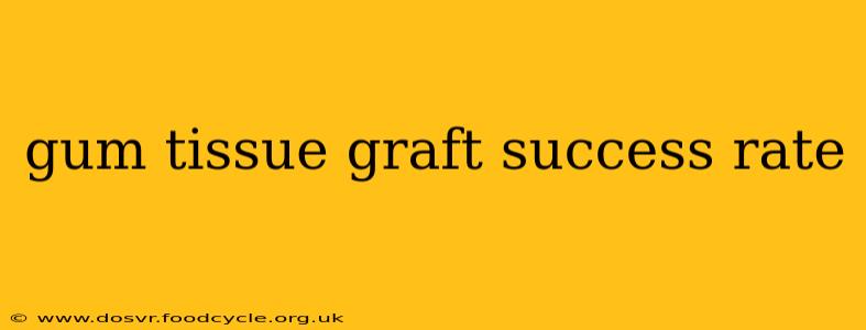 gum tissue graft success rate