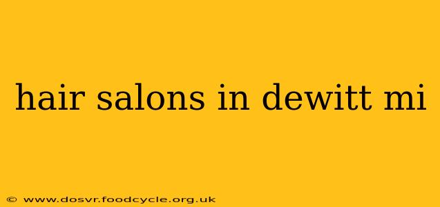 hair salons in dewitt mi