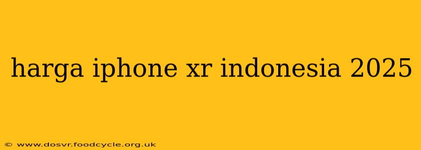 harga iphone xr indonesia 2025