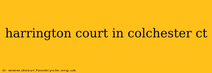 harrington court in colchester ct