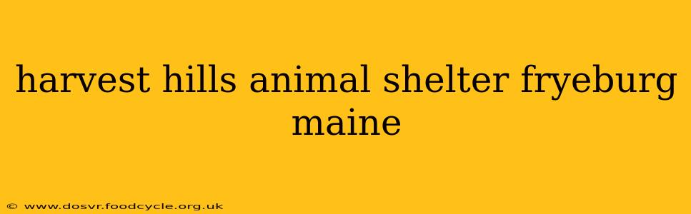 harvest hills animal shelter fryeburg maine