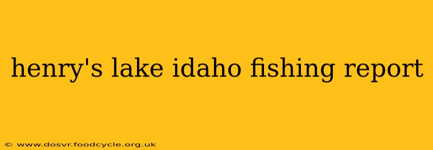 henry's lake idaho fishing report