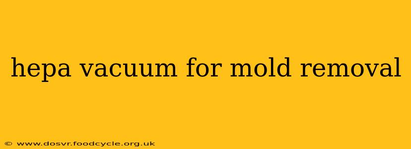 hepa vacuum for mold removal