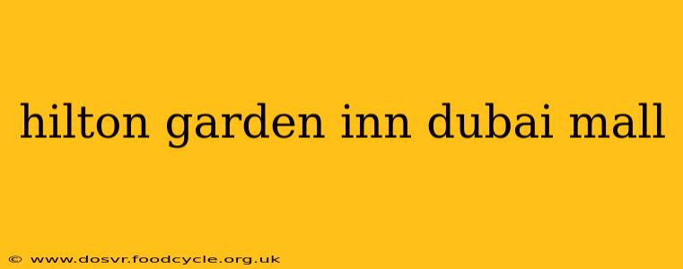 hilton garden inn dubai mall