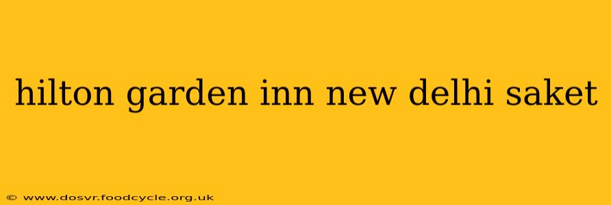 hilton garden inn new delhi saket