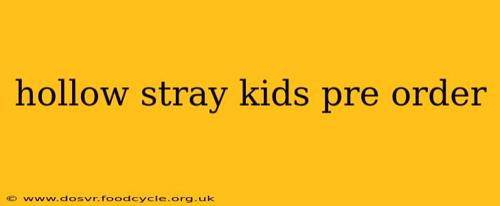 hollow stray kids pre order