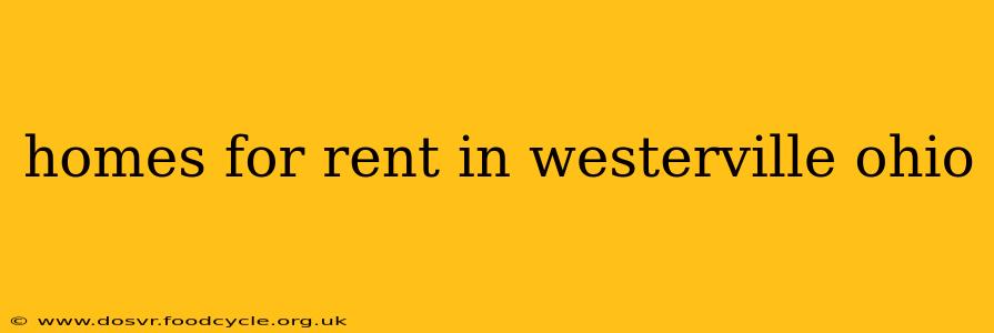 homes for rent in westerville ohio
