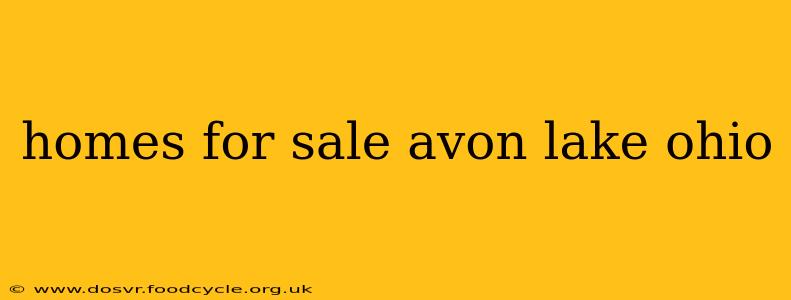 homes for sale avon lake ohio