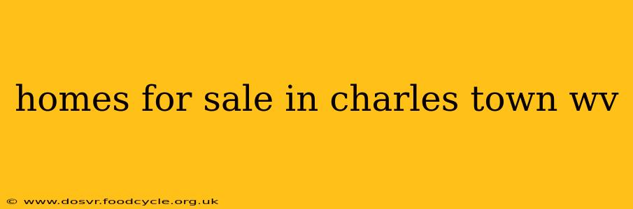 homes for sale in charles town wv