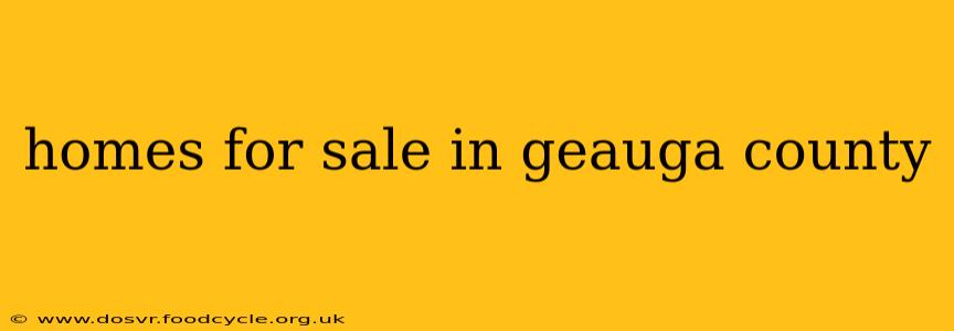 homes for sale in geauga county