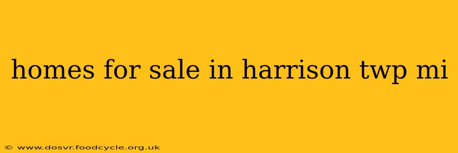 homes for sale in harrison twp mi