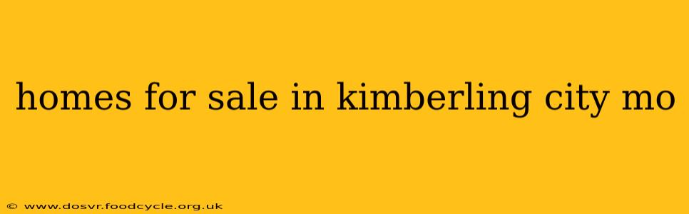 homes for sale in kimberling city mo