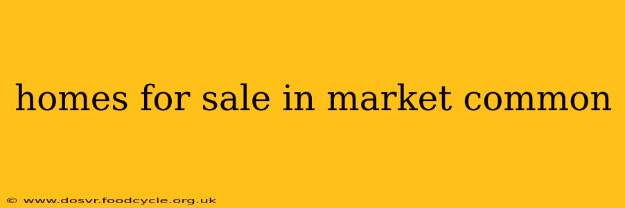 homes for sale in market common