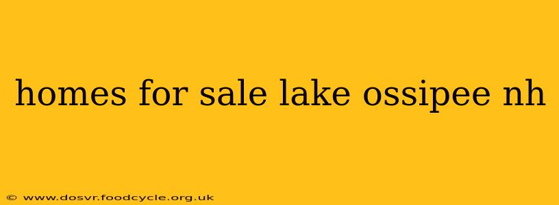 homes for sale lake ossipee nh