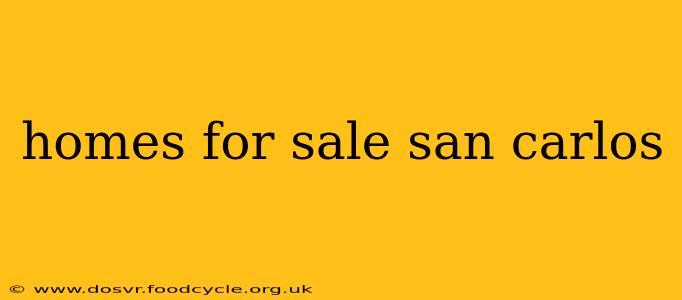 homes for sale san carlos