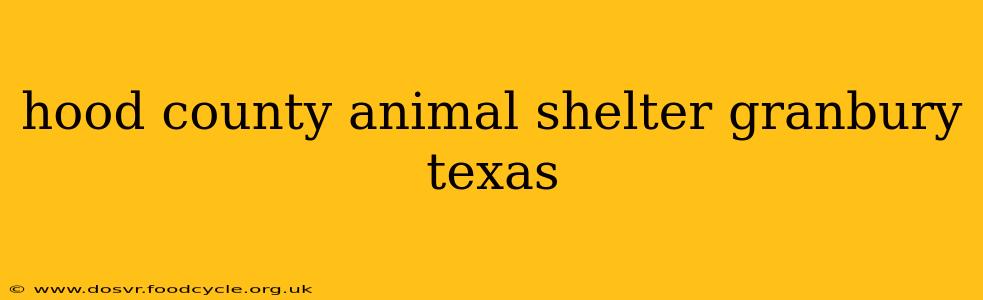 hood county animal shelter granbury texas