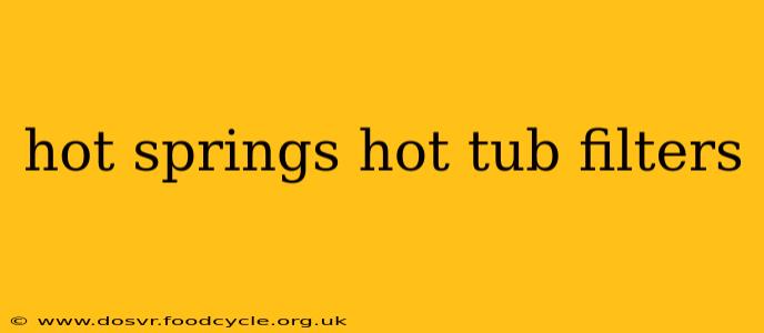 hot springs hot tub filters