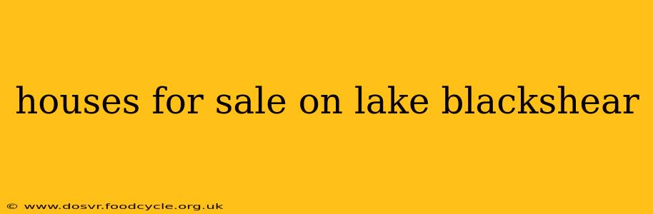 houses for sale on lake blackshear