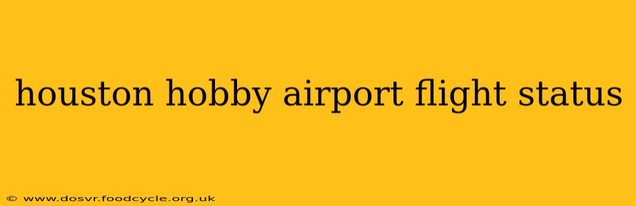 houston hobby airport flight status