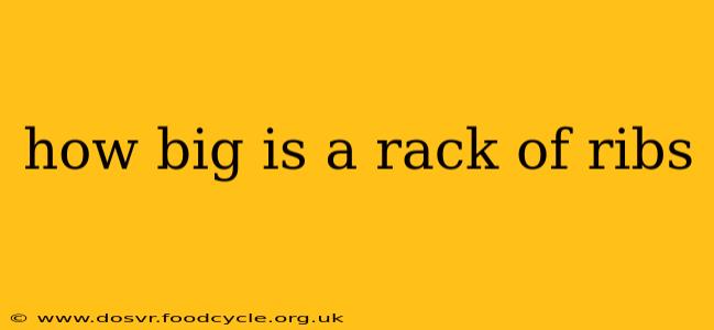 how big is a rack of ribs