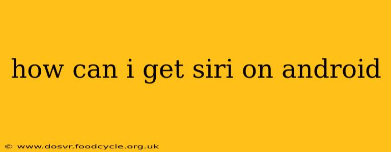 how can i get siri on android