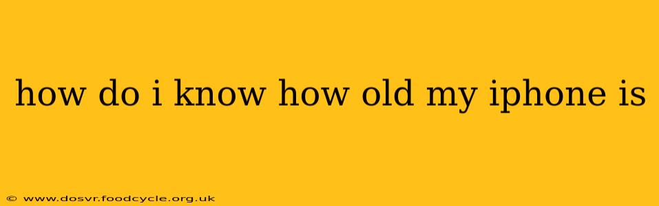 how do i know how old my iphone is
