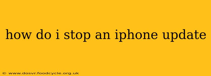how do i stop an iphone update