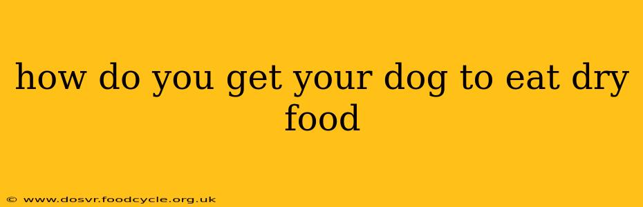 how do you get your dog to eat dry food