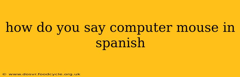 how do you say computer mouse in spanish