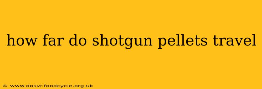 how far do shotgun pellets travel