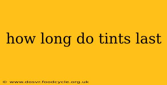 how long do tints last